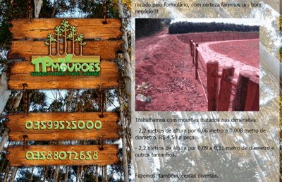 Site – TPMourões – Eucalipto tratados