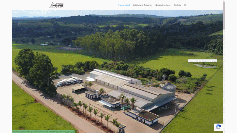 Criação de Site Profissional Empresa de Desenvolvimento de Sites Minas Cereais Distribuidora Comércio