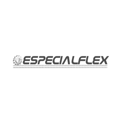 logomarca-especial-flex-industria-exemplo-logotipo